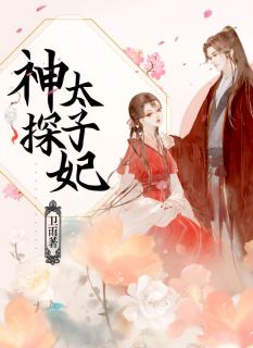 卫雨最新小说神探太子妃沈如柏楚明轩在线试读