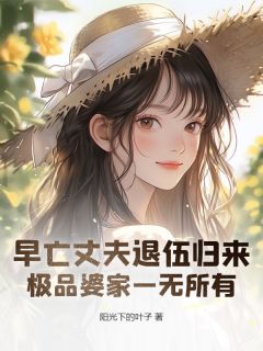 早亡丈夫退伍归来，极品婆家一无所有小说全章节目录阅读BY阳光下的叶子完结版阅读