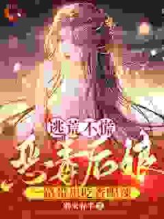 (抖音小说)宋婉清林宴小说全文阅读免费