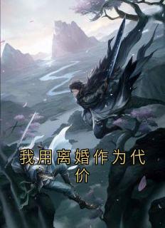 快手我用离婚作为代价小说全本章节大结局
