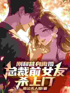 抖音完结前脚离婚，后脚旧爱就带我去领证陆沉苏婉清(全文在线阅读)