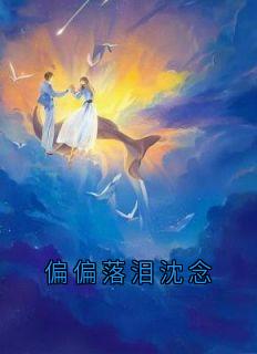 偏偏落泪沈念(陆京泽)最佳创作小说全文在线阅读