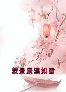 最完整版楚景辰温如雪热门连载小说-暗夜阅读网