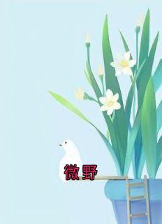 微野小说林微沈行川秦野免费阅读