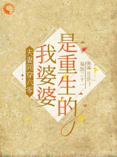值得熬夜看完的六零：穿越开局被分家，我人麻了小说阅读