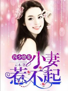 云木写的小说四少绝宠：小妻惹不起在线阅读
