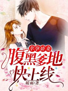 精品小说幸孕娇妻：腹黑爹地快上线全文目录畅读