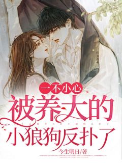 一不小心被养大的小狼狗反扑了小说赵嘉稚宋阳免费阅读