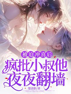 老书虫力荐被迫冲喜后，疯批小叔他夜夜翻墙免费无弹窗阅读
