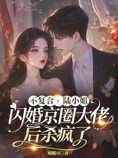 不复合，陆小姐闪婚京圈大佬后杀疯了免费章节不复合，陆小姐闪婚京圈大佬后杀疯了点我搜索全章节小说-暗夜阅读网