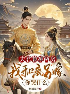 值得熬夜看完的夫君兼祧两房，我和离另嫁，你哭什么小说阅读