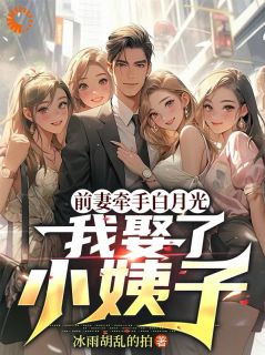 前妻牵手白月光，我娶了小姨子无广告阅读 林殊苏晚晴免费在线阅读