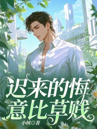 迟来的悔意比草贱无广告阅读 沈砺锋叶淼淼免费在线阅读