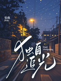独自追光宋辞宋启明全章节在线阅读