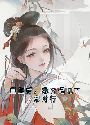 小说推荐重生后，我又遇见了宋时行完结版全章节阅读-暗夜阅读网
