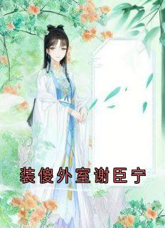 快手热推装傻外室谢臣宁小说主角沈清漪谢臣宁在线阅读-暗夜阅读网