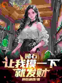 我在缅甸赌石的日子by吴越丹敏在线阅读
