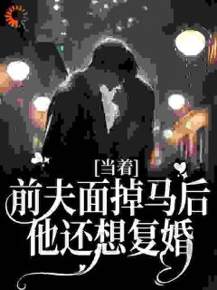 (抖音小说)沈曼胭陆晟风小说全文阅读免费