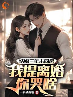 (精品)结婚三年未同房，我提离婚你哭啥小说-暗夜阅读网