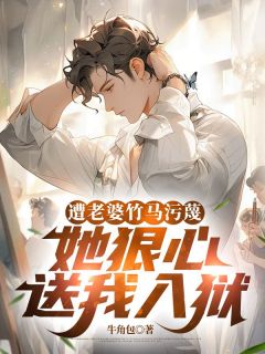 全本资源在线阅读遭老婆竹马污蔑，她狠心送我入狱林时安孟月-暗夜阅读网