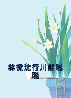 林微沈行川唐晓晓小说林微沈行川秦野最新章节阅读