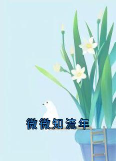 （全集-免费）微微知流年完本小说_林微沈行川秦野全文免费阅读