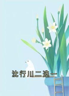 沈行川二选一小说-林微沈行川秦野全篇阅读-暗夜阅读网