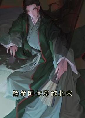 爆款热文杨希阿七佘赛花在线阅读-杨希阿七穿越北宋全章节列表