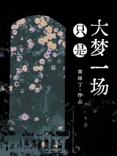 只是大梦一场苏阮周寻陆景年小说全文章节阅读-暗夜阅读网