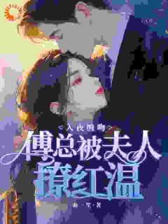 爆款小说闪婚！我成了他的掌中宝主角白苒霍喻擎全文在线完本阅读-暗夜阅读网