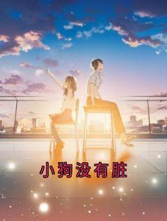 【新书】小狗没有脏主角温岁沈域全文全章节小说阅读