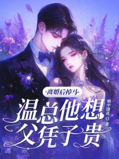 独家离婚后掉马，温总他想父凭子贵小说-主角沈归荑傅珩全文免费阅读