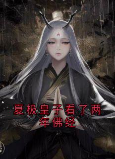 夏极皇子看了两年佛经夏极夏小苏大结局小说全章节阅读