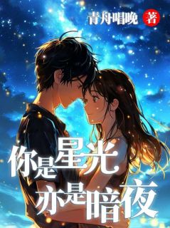 你是星光，亦是暗夜章节全目录 高辰星秦黛疏桐全文免费阅读