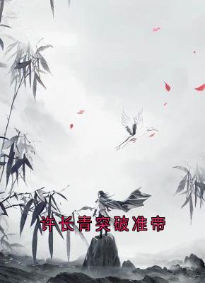 许长青突破准帝许长青苏轻雪无广告在线阅读-暗夜阅读网