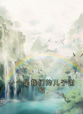 一个是我们的儿子谢昭流萤谢长憬小说全文章节阅读