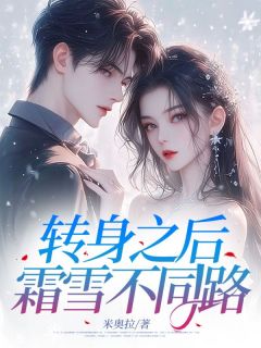 主角陆诗晴江辰风小说完整版-转身之后，霜雪不同路免费阅读全文-暗夜阅读网