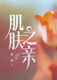 (抖音)肌肤之亲江筱许邵宁小说免费全文阅读