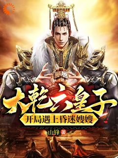 大乾六皇子，开局遇上昏迷嫂嫂！小说(完整版)-秦夜林若薇章节阅读