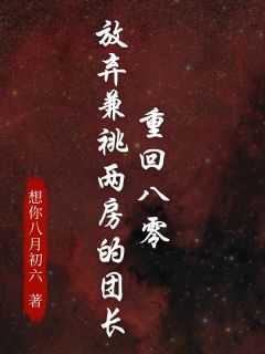 重回八零，放弃兼祧两房的团长陆雪江民安-小说未删减阅读