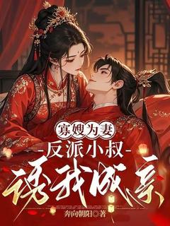 沈云溪萧承逸小说哪里可以看 小说寡嫂为妻，反派小叔诱我成亲全文免费阅读