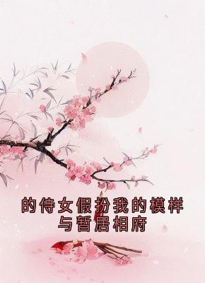 的侍女假扮我的模样与暂居相府by李墨白(锦屏李墨白赵思则)未删节免费阅读-暗夜阅读网
