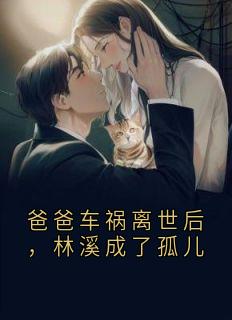书荒必备林溪傅迟宴小说