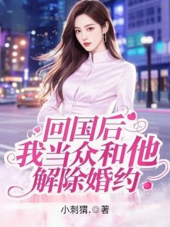 回国后，我当众和他解除婚约全文目录-苏雨陈阳小说无弹窗阅读
