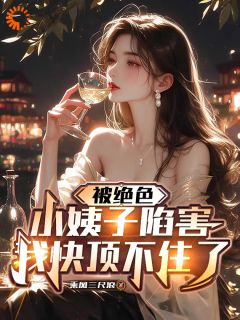 被绝色小姨子陷害，我快顶不住了免费小说作者乘风三尺浪全文阅读