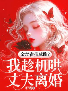独家金丝雀带球跑?我趁机哄丈夫离婚全本大结局小说阅读