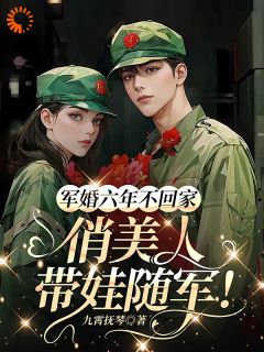 (抖音小说)苏向晚陆云霆小说全文阅读免费
