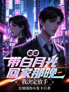 独家老婆带白月光回家那晚，我决定放手小说-主角陈醒苏千雪全文免费阅读