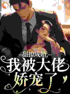 主角是沈醉顾沉的小说-去乡下考察时，对她一见钟情了完整章节阅读