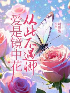 爱是镜中花，从此不遇卿江澈宋妤-阿酱酱小说-暗夜阅读网